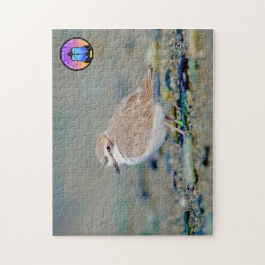 Snowy Plover Jigsaw Puzzle (Vertikal)