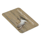 Snowy Plover Stretch Imperial Beach California Magnet (Rechte Seite)
