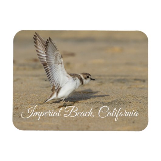 Snowy Plover Stretch Imperial Beach California Magnet (Horizontal)