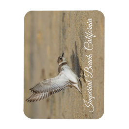 Snowy Plover Stretch Imperial Beach California Magnet
