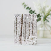 Snowy Pocono Woodlands Postkarte (Stehend Vorderseite)
