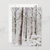 Snowy Pocono Woodlands Postkarte (Vorne/Hinten)