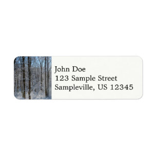 Snowy Poplar Forest I