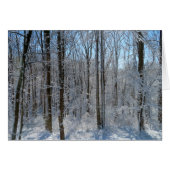 Snowy Poplar Forest I (Vorderseite (Horizontal))