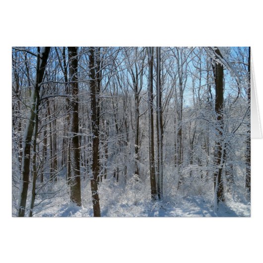 Snowy Poplar Forest I (Vorderseite (Horizontal))