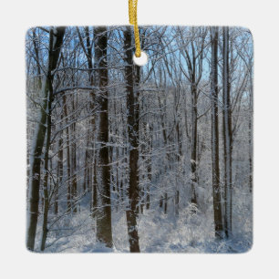 Snowy Poplar Forest I Keramikornament