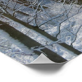 Snowy Poplar Forest I Poster (Ecke)