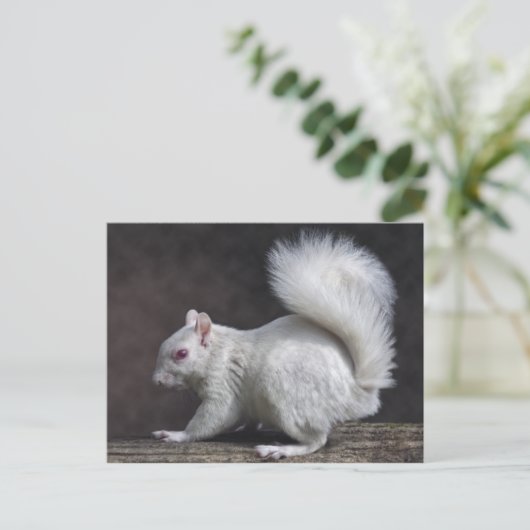 Snowy Postcard Postkarte (Stehend Vorderseite)