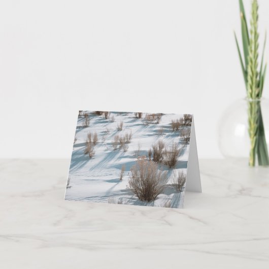 Snowy Rabbitbrush - 4" x 5.6" Notecard Dankeskarte (Vorderseite)