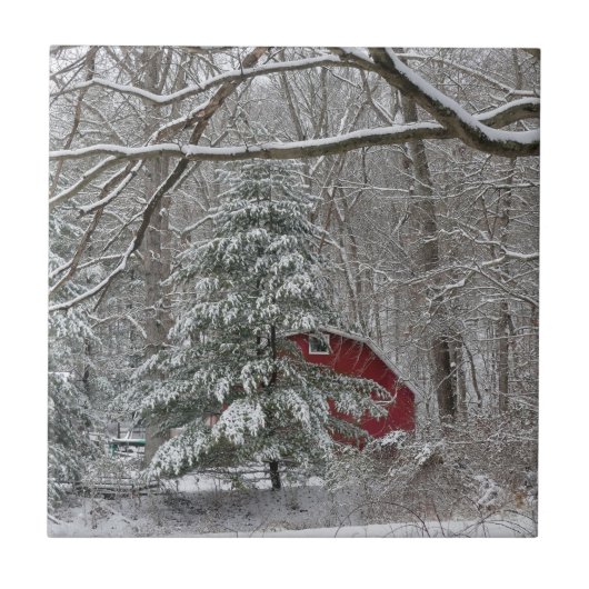 Snowy Red Barn Fliese (Vorderseite)