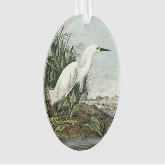 Snowy-Reiher durch Audubon Ornament (Vorderseite)
