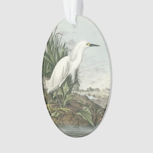 Snowy-Reiher durch Audubon Ornament (Vorderseite)