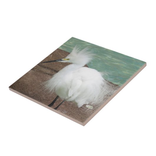 Snowy-Reiher-Fliese Fliese (Seite)