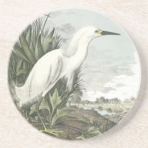 Snowy-Reiher, John Audubon Untersetzer