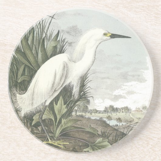Snowy-Reiher, John Audubon Untersetzer (Vorne)
