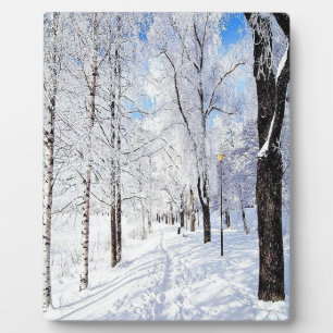 Snowy Road Fotoplatte