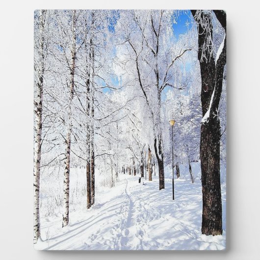 Snowy Road Fotoplatte (Vorderseite)