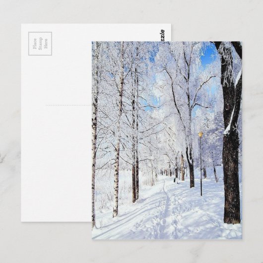 Snowy Road Postkarte (Vorne/Hinten)