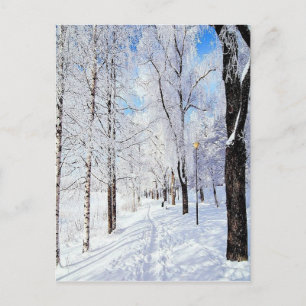 Snowy Road Postkarte
