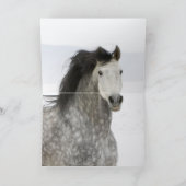 Snowy Romp Horse Grußkarte Karte (Innenseite)