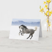 Snowy Romp Horse Grußkarte Karte (Gelbe Blume)