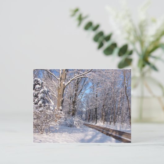 Snowy Rural Michigan Postkarte (Stehend Vorderseite)