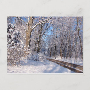 Snowy Rural Michigan Postkarte