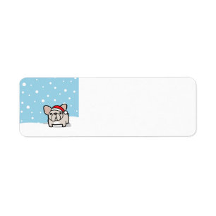 Snowy SahneFrenchie
