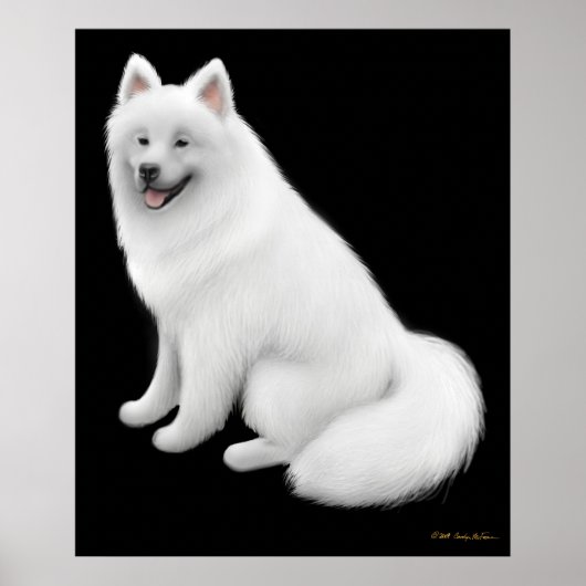 Snowy Samoyed Dog Print Poster (Vorne)