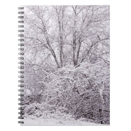 Snowy Scene Foto Notebook Notizblock (Vorderseite)