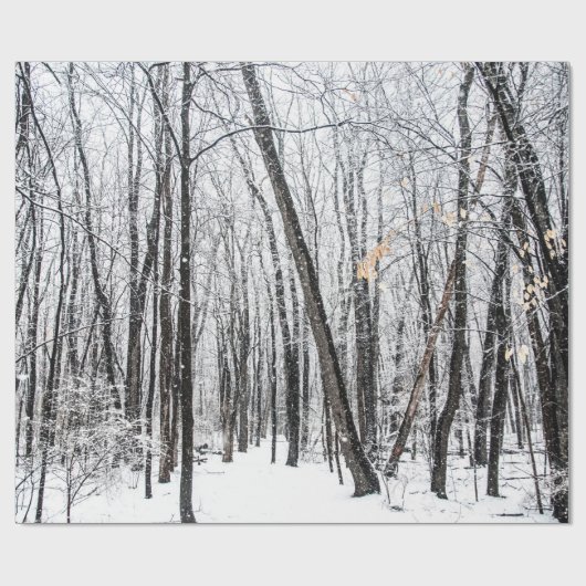 Snowy Scene in Woodland Michigan Geschenkpapier (Flach)