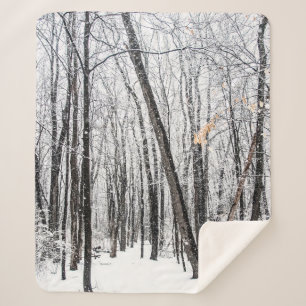 Snowy Scene in Woodland Michigan Sherpadecke