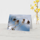 Snowy Seed Heads Karte (Gelbe Blume)