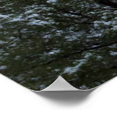 Snowy Snoopy Rock 2854 Poster (Ecke)