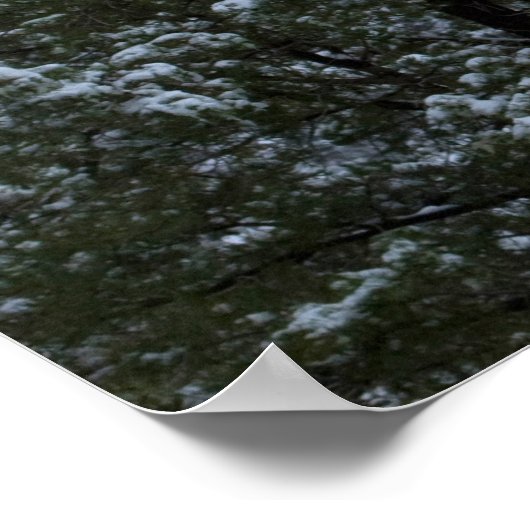 Snowy Snoopy Rock 2854 Poster (Ecke)