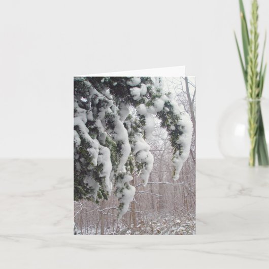 Snowy Spruce Note Card Karte (Vorderseite)