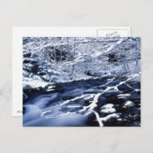 Snowy Stream - Postkarte (Vorne/Hinten)