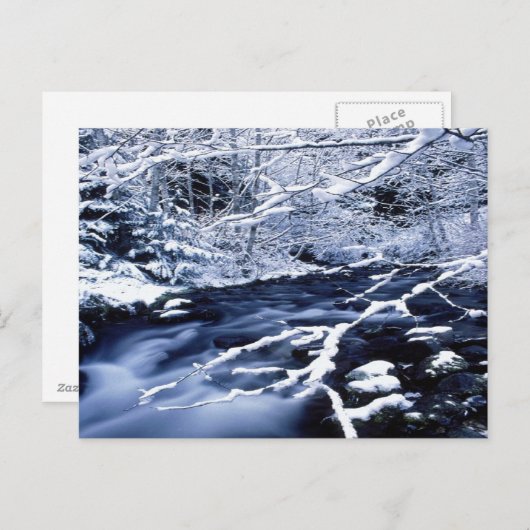 Snowy Stream - Postkarte (Vorne/Hinten)