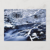 Snowy Stream - Postkarte (Vorderseite)