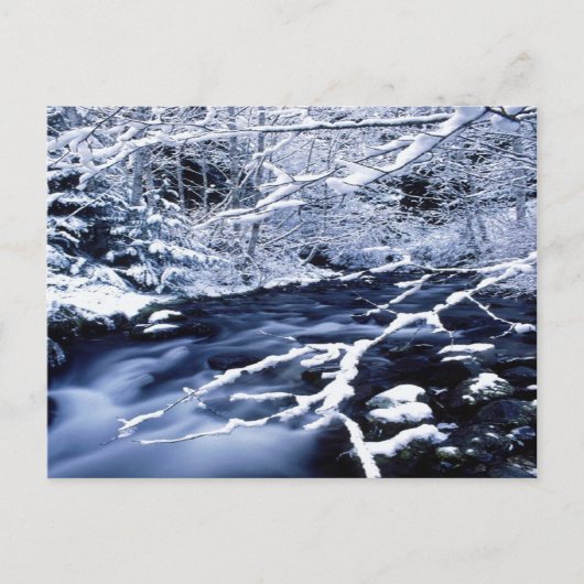 Snowy Stream - Postkarte (Vorderseite)