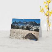 Snowy-Strecke Karte (Gelbe Blume)