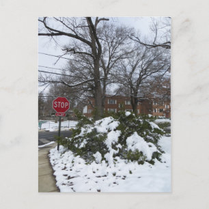 Snowy Street Postkarte