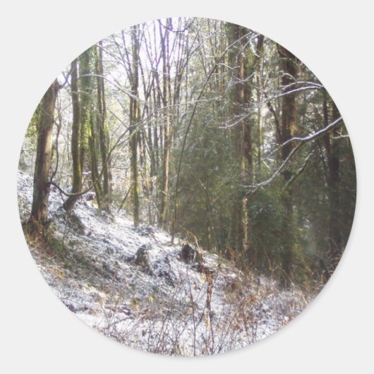 Snowy Sunlit Forest Glade Runder Aufkleber (Vorderseite)