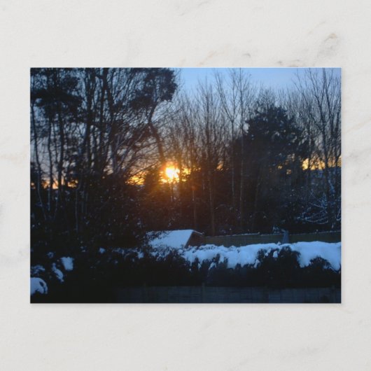 Snowy Sunrise Postkarte (Vorderseite)