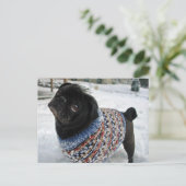 Snowy Sweater Mops Postcard Postkarte (Stehend Vorderseite)