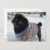 Snowy Sweater Mops Postcard Postkarte (Vorne/Hinten)