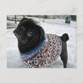 Snowy Sweater Mops Postcard Postkarte