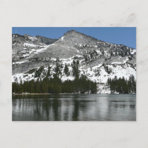 Snowy Tenaya Lake Yosemite National Park Foto Postkarte