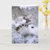 Snowy Town Brook Plymouth MA Karte (Gelbe Blume)