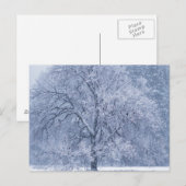 Snowy Tree Winter Frozen Szene Postkarte (Vorne/Hinten)
